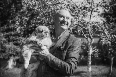 Emekli olmuş yaşlı bir adam, parkta gezintiye çıkmış kırmızı Pekin hayvanıyla köpek sever. Hayvanların sevgisini ve bakımını kavrayın. İyi insanlar evcil hayvanlara bakar.