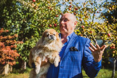 Emekli olmuş yaşlı bir adam, parkta gezintiye çıkmış kırmızı Pekin hayvanıyla köpek sever. Hayvanların sevgisini ve bakımını kavrayın. İyi insanlar evcil hayvanlara bakar.