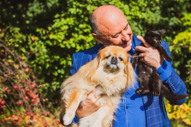 Emekli olmuş yaşlı bir adam, parkta gezintiye çıkmış kırmızı Pekin hayvanıyla köpek sever. Hayvanların sevgisini ve bakımını kavrayın. İyi insanlar evcil hayvanlara bakar.