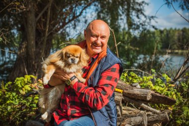 Emekli olmuş yaşlı bir adam, parkta gezintiye çıkmış kırmızı Pekin hayvanıyla köpek sever. Hayvanların sevgisini ve bakımını kavrayın. İyi insanlar evcil hayvanlara bakar.