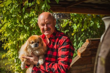 Emekli olmuş yaşlı bir adam, parkta gezintiye çıkmış kırmızı Pekin hayvanıyla köpek sever. Hayvanların sevgisini ve bakımını kavrayın. İyi insanlar evcil hayvanlara bakar.
