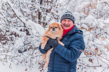 Emekli olmuş yaşlı bir adam, parkta gezintiye çıkmış kırmızı Pekin hayvanıyla köpek sever. Hayvanların sevgisini ve bakımını kavrayın. İyi insanlar evcil hayvanlara bakar.