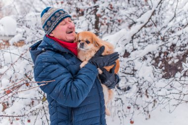 Emekli olmuş yaşlı bir adam, parkta gezintiye çıkmış kırmızı Pekin hayvanıyla köpek sever. Hayvanların sevgisini ve bakımını kavrayın. İyi insanlar evcil hayvanlara bakar.