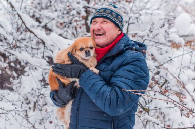 Emekli olmuş yaşlı bir adam, parkta gezintiye çıkmış kırmızı Pekin hayvanıyla köpek sever. Hayvanların sevgisini ve bakımını kavrayın. İyi insanlar evcil hayvanlara bakar.