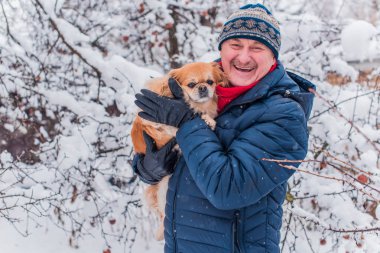 Emekli olmuş yaşlı bir adam, parkta gezintiye çıkmış kırmızı Pekin hayvanıyla köpek sever. Hayvanların sevgisini ve bakımını kavrayın. İyi insanlar evcil hayvanlara bakar.