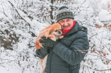 Emekli olmuş yaşlı bir adam, parkta gezintiye çıkmış kırmızı Pekin hayvanıyla köpek sever. Hayvanların sevgisini ve bakımını kavrayın. İyi insanlar evcil hayvanlara bakar.