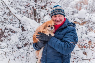 Emekli olmuş yaşlı bir adam, parkta gezintiye çıkmış kırmızı Pekin hayvanıyla köpek sever. Hayvanların sevgisini ve bakımını kavrayın. İyi insanlar evcil hayvanlara bakar.