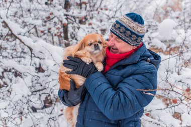 Emekli olmuş yaşlı bir adam, parkta gezintiye çıkmış kırmızı Pekin hayvanıyla köpek sever. Hayvanların sevgisini ve bakımını kavrayın. İyi insanlar evcil hayvanlara bakar.