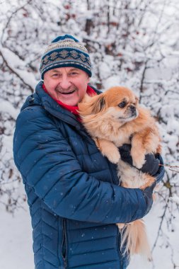 Emekli olmuş yaşlı bir adam, parkta gezintiye çıkmış kırmızı Pekin hayvanıyla köpek sever. Hayvanların sevgisini ve bakımını kavrayın. İyi insanlar evcil hayvanlara bakar.