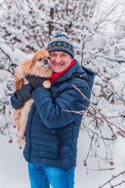 Emekli olmuş yaşlı bir adam, parkta gezintiye çıkmış kırmızı Pekin hayvanıyla köpek sever. Hayvanların sevgisini ve bakımını kavrayın. İyi insanlar evcil hayvanlara bakar.