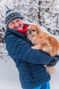 Emekli olmuş yaşlı bir adam, parkta gezintiye çıkmış kırmızı Pekin hayvanıyla köpek sever. Hayvanların sevgisini ve bakımını kavrayın. İyi insanlar evcil hayvanlara bakar.