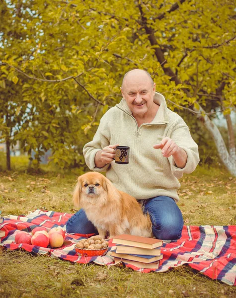 Senior man on retired, dog lover with his red pekingese pet on a walk at park. Concept love and care of animals. Good people caring for pets