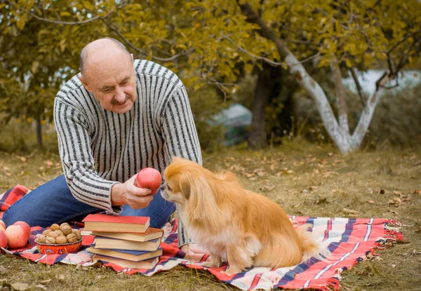 Hombre Mayor Retirado Amante Los Perros Con Mascota Pekinesa Roja — Foto de Stock