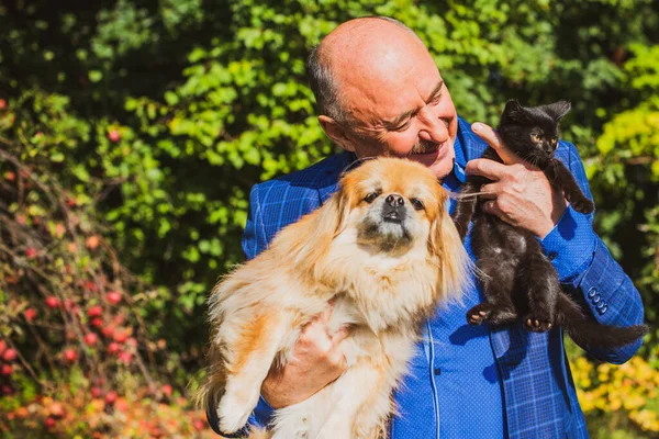 Emekli olmuş yaşlı bir adam, parkta gezintiye çıkmış kırmızı Pekin hayvanıyla köpek sever. Hayvanların sevgisini ve bakımını kavrayın. İyi insanlar evcil hayvanlara bakar.