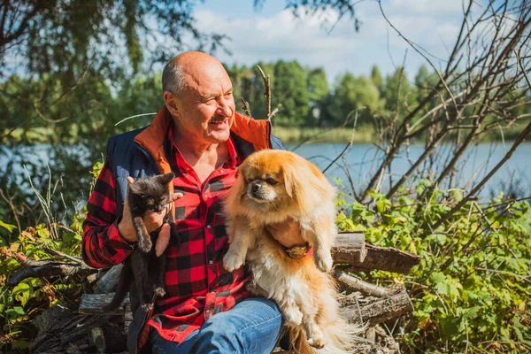 Emekli olmuş yaşlı bir adam, parkta gezintiye çıkmış kırmızı Pekin hayvanıyla köpek sever. Hayvanların sevgisini ve bakımını kavrayın. İyi insanlar evcil hayvanlara bakar.