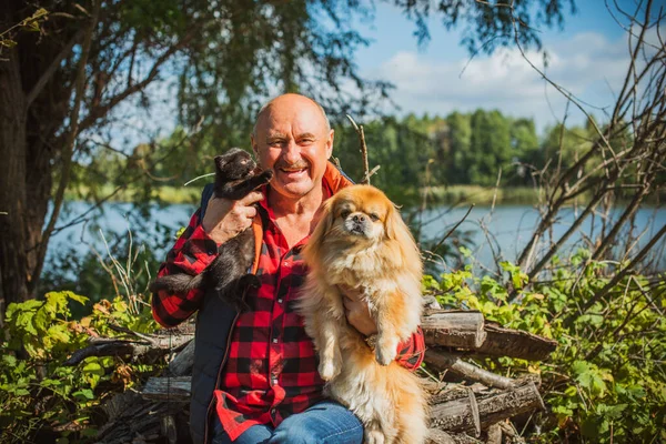 Emekli olmuş yaşlı bir adam, parkta gezintiye çıkmış kırmızı Pekin hayvanıyla köpek sever. Hayvanların sevgisini ve bakımını kavrayın. İyi insanlar evcil hayvanlara bakar.