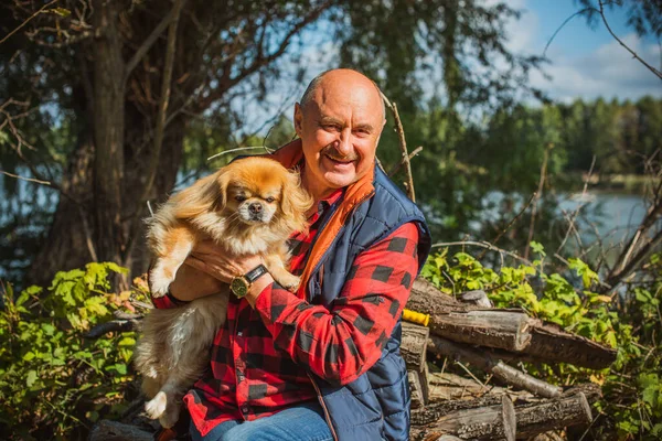 Senior man on retired, dog lover with his red pekingese pet on a walk at park. Concept love and care of animals. Good people caring for pets