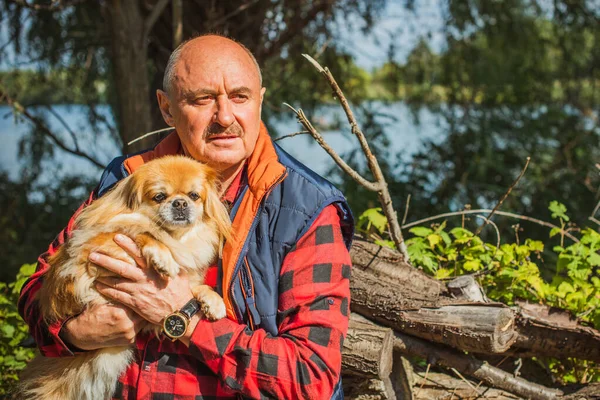 Emekli olmuş yaşlı bir adam, parkta gezintiye çıkmış kırmızı Pekin hayvanıyla köpek sever. Hayvanların sevgisini ve bakımını kavrayın. İyi insanlar evcil hayvanlara bakar.