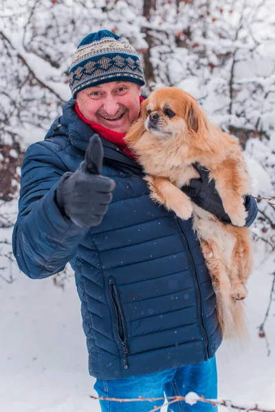 Senior man on retired, dog lover with his red pekingese pet on a walk at park. Concept love and care of animals. Good people caring for pets