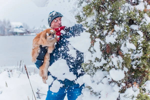 Senior man on retired, dog lover with his red pekingese pet on a walk at park. Concept love and care of animals. Good people caring for pets