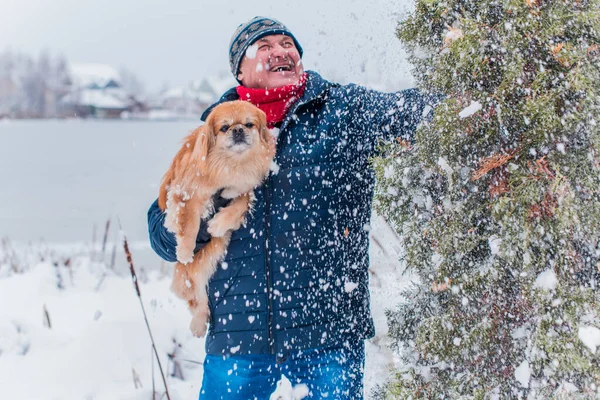 Senior man on retired, dog lover with his red pekingese pet on a walk at park. Concept love and care of animals. Good people caring for pets