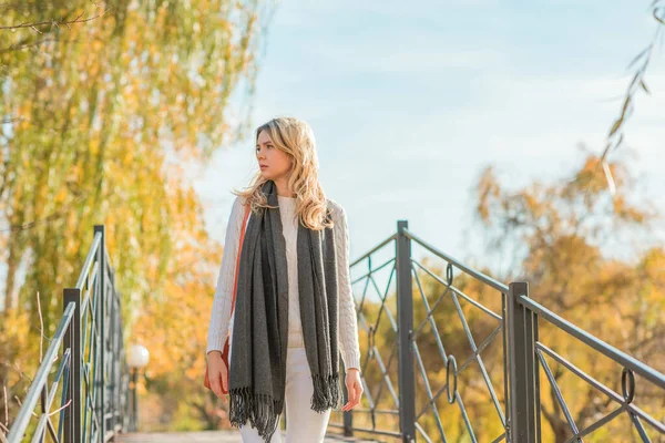 Hösten Gyllene Tid Porträtt Fashionabla Kvinna Parken Utomhus — Stockfoto