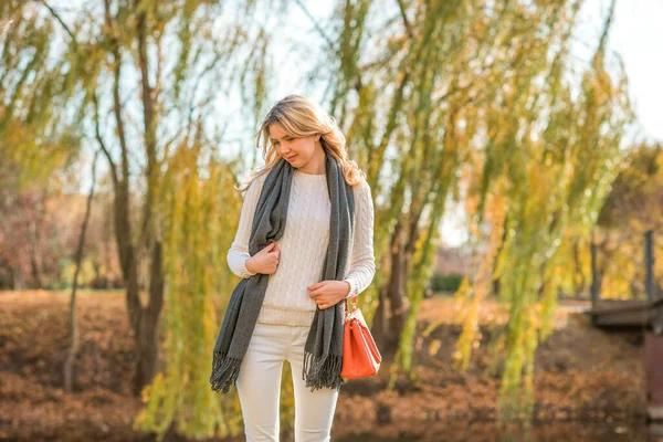 Hösten Gyllene Tid Porträtt Fashionabla Kvinna Parken Utomhus — Stockfoto