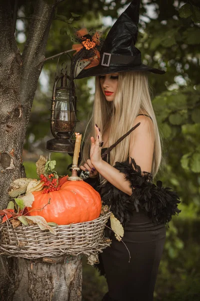 Halloween Čarodějnice Lese Krásná Mladá Žena Moderních Šatech Čarodějnic Halloween — Stock fotografie