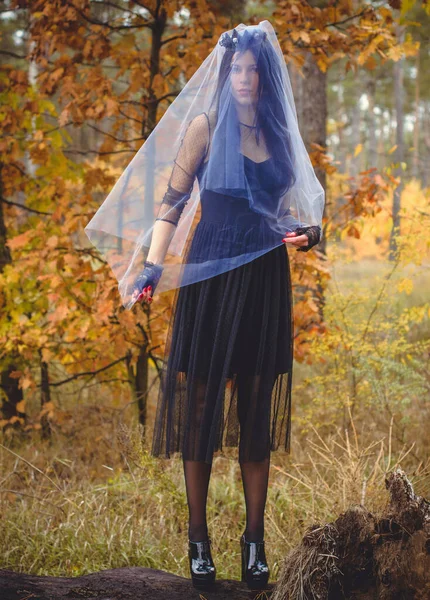 Bruja Halloween Bosque Oscuro Hermosa Mujer Joven Vestido Moderno Brujas —  Fotos de Stock