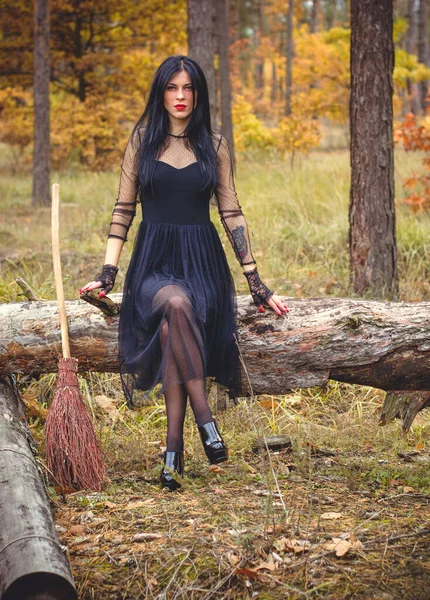 Bruja Halloween Bosque Oscuro Hermosa Mujer Joven Vestido Moderno Brujas — Foto de Stock