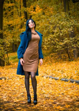 Sonbahar mavisi büyük montlu güzel bir kadının portresi. Esmer moda kadını, sonbahar manzarasına karşı yürüyordu. Zarif bir kadının moda fotoğrafıydı.  