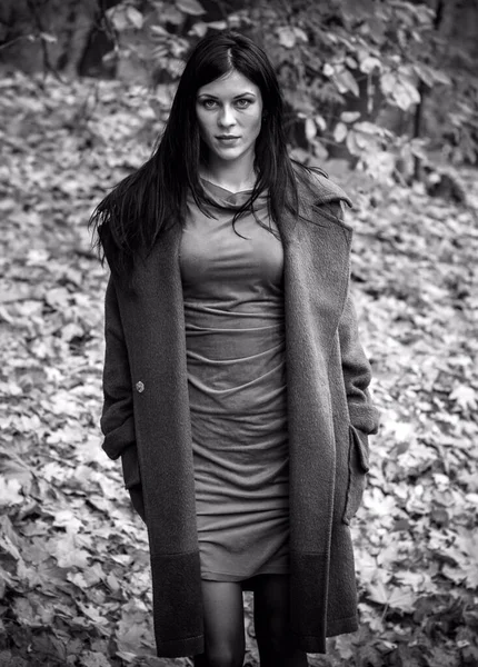 Портрет Молодой Красивой Женщины Осеннем Синем Широком Пальто Брюнетка Мода — стоковое фото