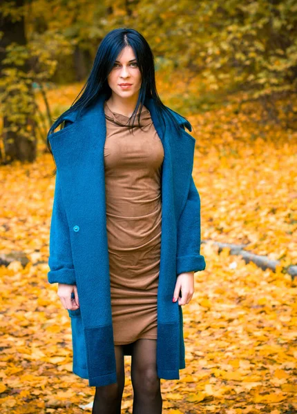 Portrait of young beautiful woman in autumn blue oversize coat. Brunette fashion woman walking outdoor against an autumn nature landscape High fashion photo of elegant woman stylish