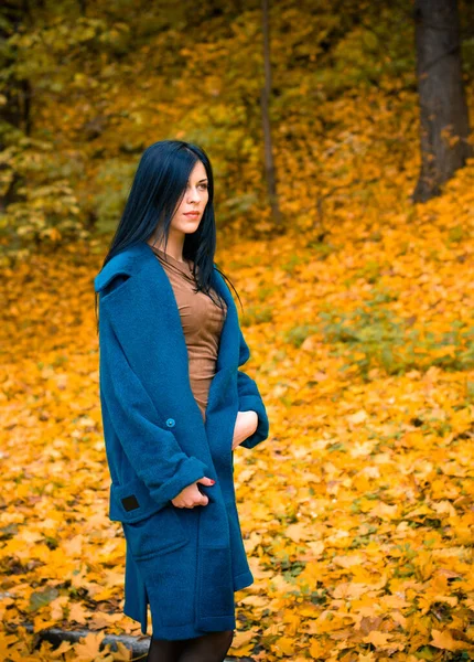 Sonbahar mavisi büyük montlu güzel bir kadının portresi. Esmer moda kadını, sonbahar manzarasına karşı yürüyordu. Zarif bir kadının moda fotoğrafıydı.  