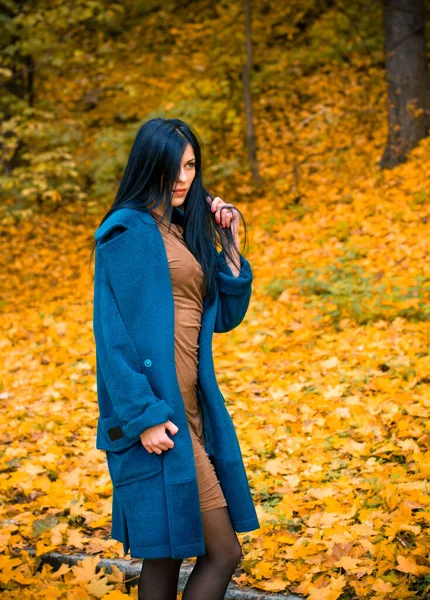 가을에 아름다운 여성의 초상화 브루넷 여성이 여성의 사진을 풍경을 배경으로 — 스톡 사진