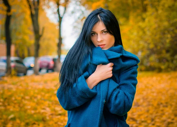 秋の青いオーバーサイズのコートの若い美しい女性の肖像画 秋の大自然の中を歩くブルネットファッションの女性 エレガントな女性のファッション写真 — ストック写真