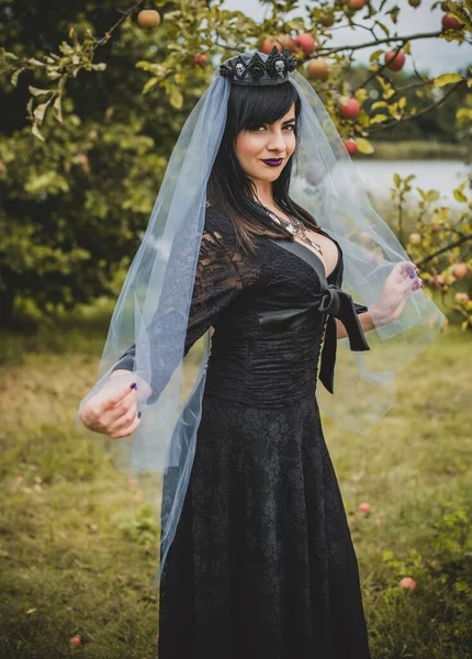 Mor peçeli gotik bayan Cadılar Bayramı için göz kamaştırıcı bir klasik. Klasik kıyafetler içinde güzel bir vatandaş. El yapımı güzel aksesuarlar. Cadılar Bayramı için fikirler