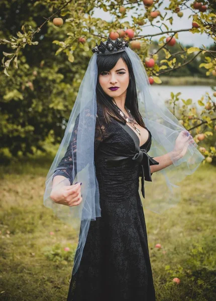 Mor peçeli gotik bayan Cadılar Bayramı için göz kamaştırıcı bir klasik. Klasik kıyafetler içinde güzel bir vatandaş. El yapımı güzel aksesuarlar. Cadılar Bayramı için fikirler