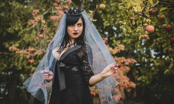 Senhora Gótica Véu Roxo Olhar Vintage Glamouroso Para Halloween Cidadão — Fotografia de Stock