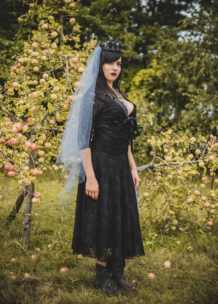 Gothic Lady Einem Lila Schleier Glamourösen Vintage Look Für Halloween — Stockfoto