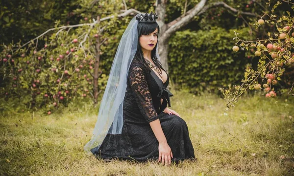 Mor peçeli gotik bayan Cadılar Bayramı için göz kamaştırıcı bir klasik. Klasik kıyafetler içinde güzel bir vatandaş. El yapımı güzel aksesuarlar. Cadılar Bayramı için fikirler