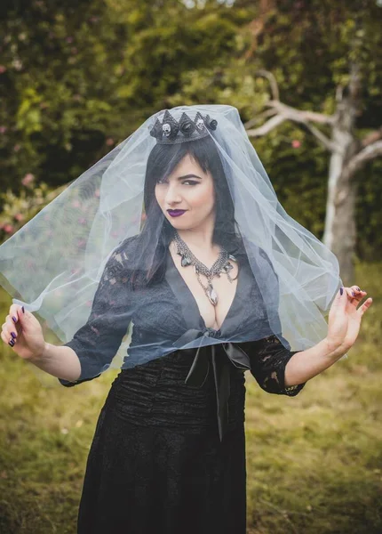 Mor peçeli gotik bayan Cadılar Bayramı için göz kamaştırıcı bir klasik. Klasik kıyafetler içinde güzel bir vatandaş. El yapımı güzel aksesuarlar. Cadılar Bayramı için fikirler