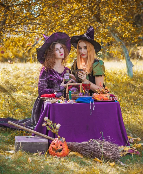 Wizard cosplay. Ideas for Halloween party, concept of autumn holidays, Women in witch costumes, dcor and design for party