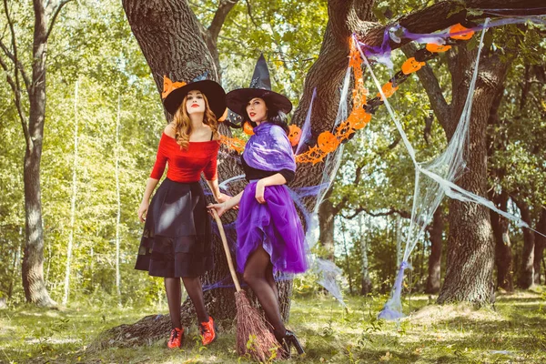 Wizard cosplay. Ideas for Halloween party, concept of autumn holidays, Women in witch costumes, decor and design for party