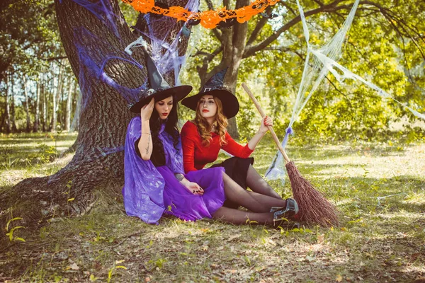 Wizard cosplay. Ideas for Halloween party, concept of autumn holidays, Women in witch costumes, decor and design for party