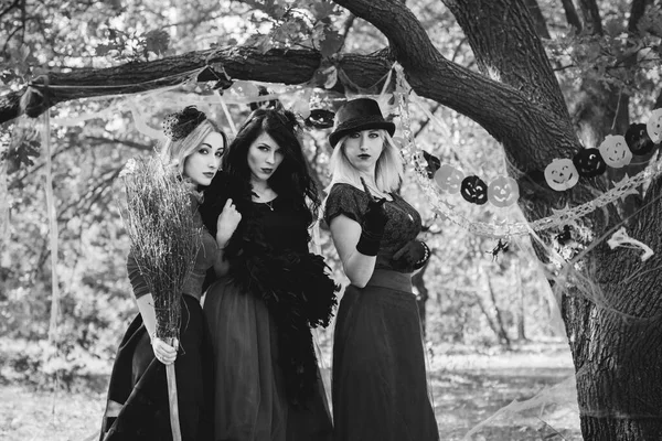 Cosplay Des Sorciers Idées Pour Fête Halloween Concept Vacances Automne — Photo