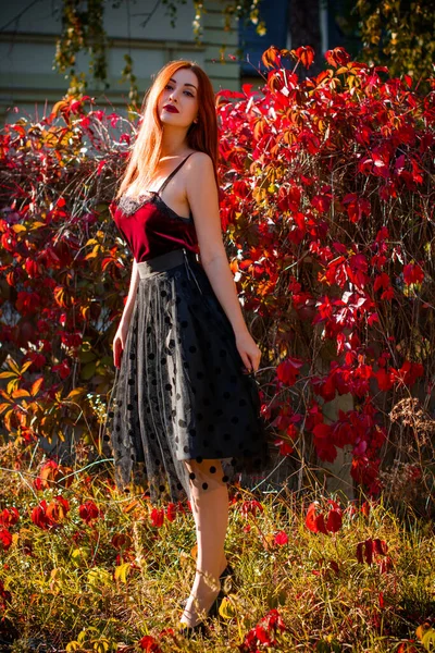 Herbsttrend Stylisch Gekleidetes Mädchen Frauenporträt Vintage Tönen Dame Mit Rotem — Stockfoto