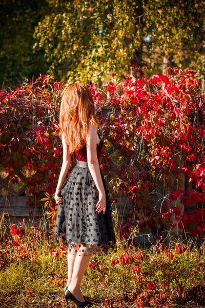Autumn Trend Stylish Dressed Girl Woman Portrait Vintage Tones Red — Stock Photo, Image