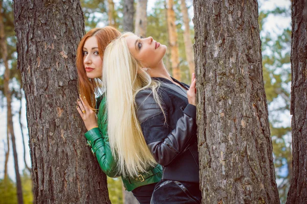 Zwei Attraktive Frauen Herbstpark Tragen Lederjacken Schöne Stylische Stadtdamen Bei — Stockfoto