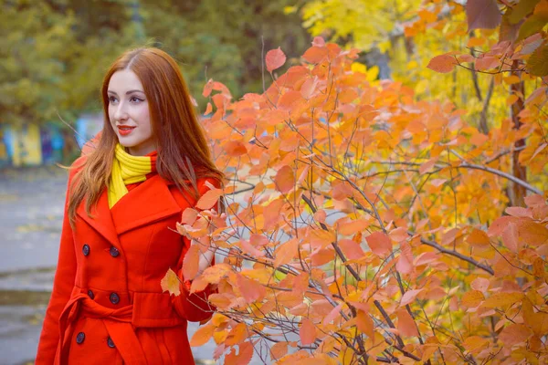 Fashionabla Trevlig Kvinna Bära Casual Stil Vacker Ansikte Rött Naturligt — Stockfoto